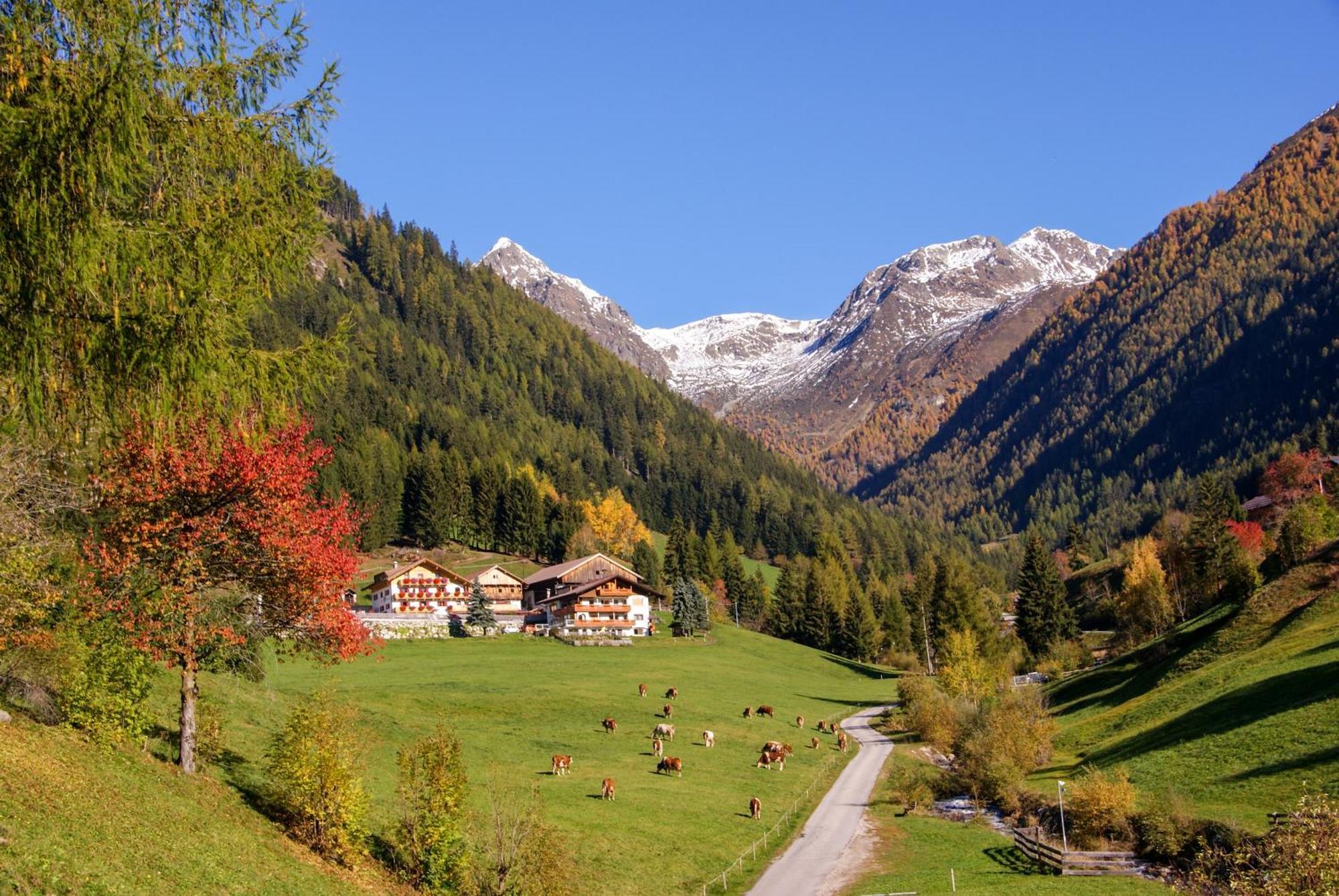 Alpegger Villa Terento Exterior photo